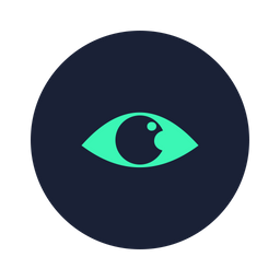 Eye View  Icon