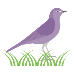 Bird  Icon