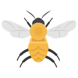 Bee  Icon