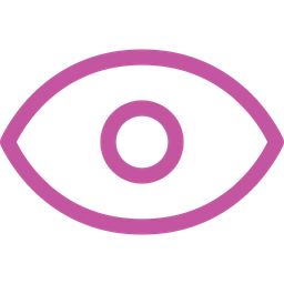 Eye  Icon