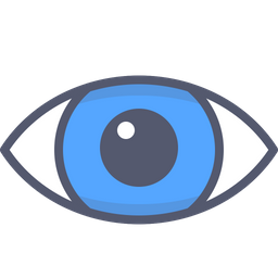 Eye  Icon