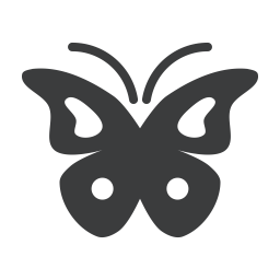 Butterfly  Icon