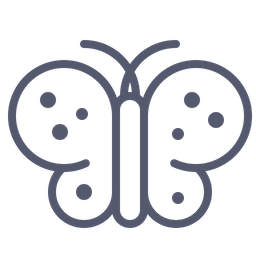 Butterfly  Icon