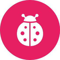 Bug  Icon