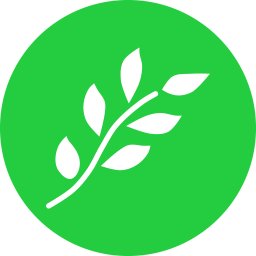 Branch  Icon