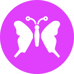 Butterfly  Icon