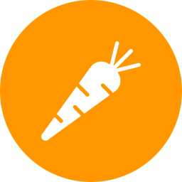 Carrot  Icon