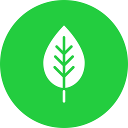 Leaf  Icon