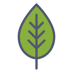 Leaf  Icon