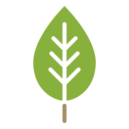 Leaf  Icon