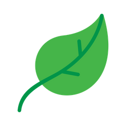 Leaves  Icon