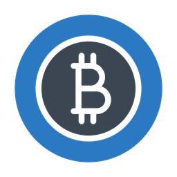 Bitcoin  Icon