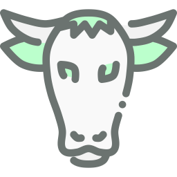 Bull  Icon