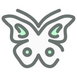 Butterfly  Icon