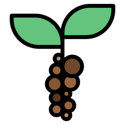 Planta de granos de café  Icono