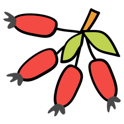 Berries  Icon