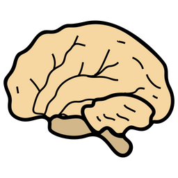 Brain  Icon