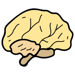 Brain  Icon