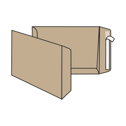 Envelope  Icon