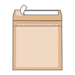 Envelope  Icon