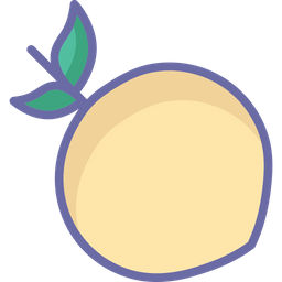 Apricot  Icon