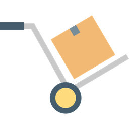 Delivery Package  Icon