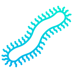 Centipede  Icon