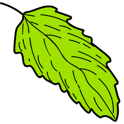 Grunes Blatt Blatt Laub Symbol