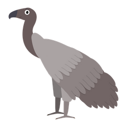 African vulture  Icon