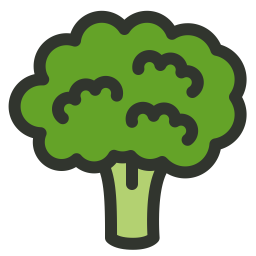 Broccoli  Icon