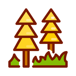 Forest  Icon