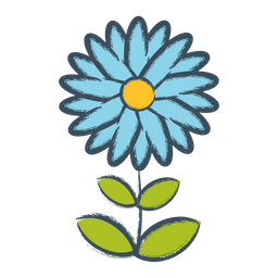 Flower  Icon