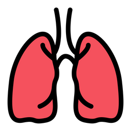 Lungs  Icon