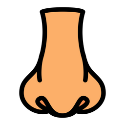 Nose  Icon