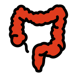 Large intestine  Icon