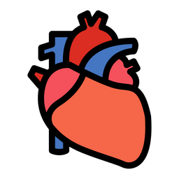 Heart  Icon