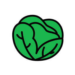 Cabbage  Icon