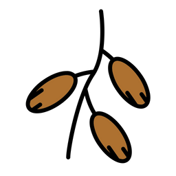 Kurma  Icon