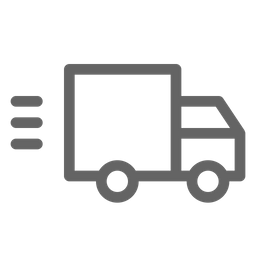 Fast Delivery Shipping Icon