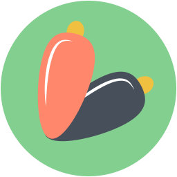 Balloon  Icon