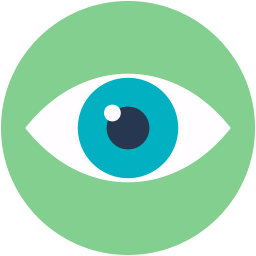 Eye  Icon