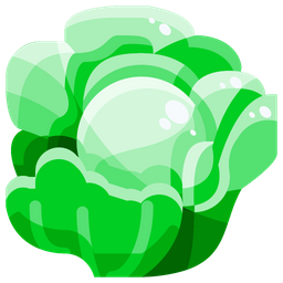 Cabbage  Icon