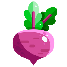 Beetroot  Icon