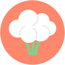 Brassicaceae  Icon