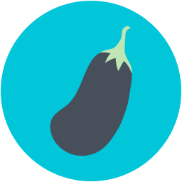 Aubergine  Icon