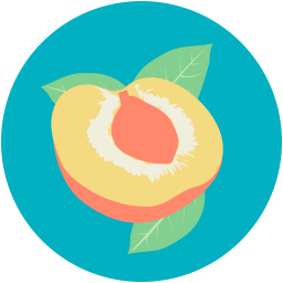 Apricot  Icon