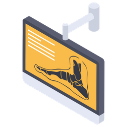 Anatomy  Icon