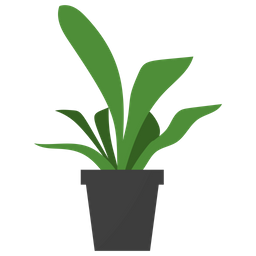 Bird Nest Fern  Icon