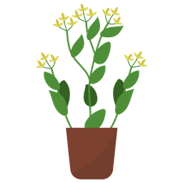 Bupleurum Potted Plant  Icon