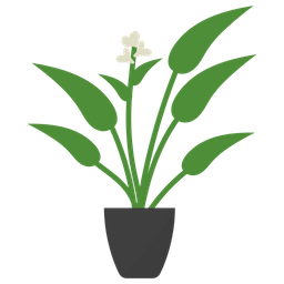 Arrowroot Potted Plant  Icon